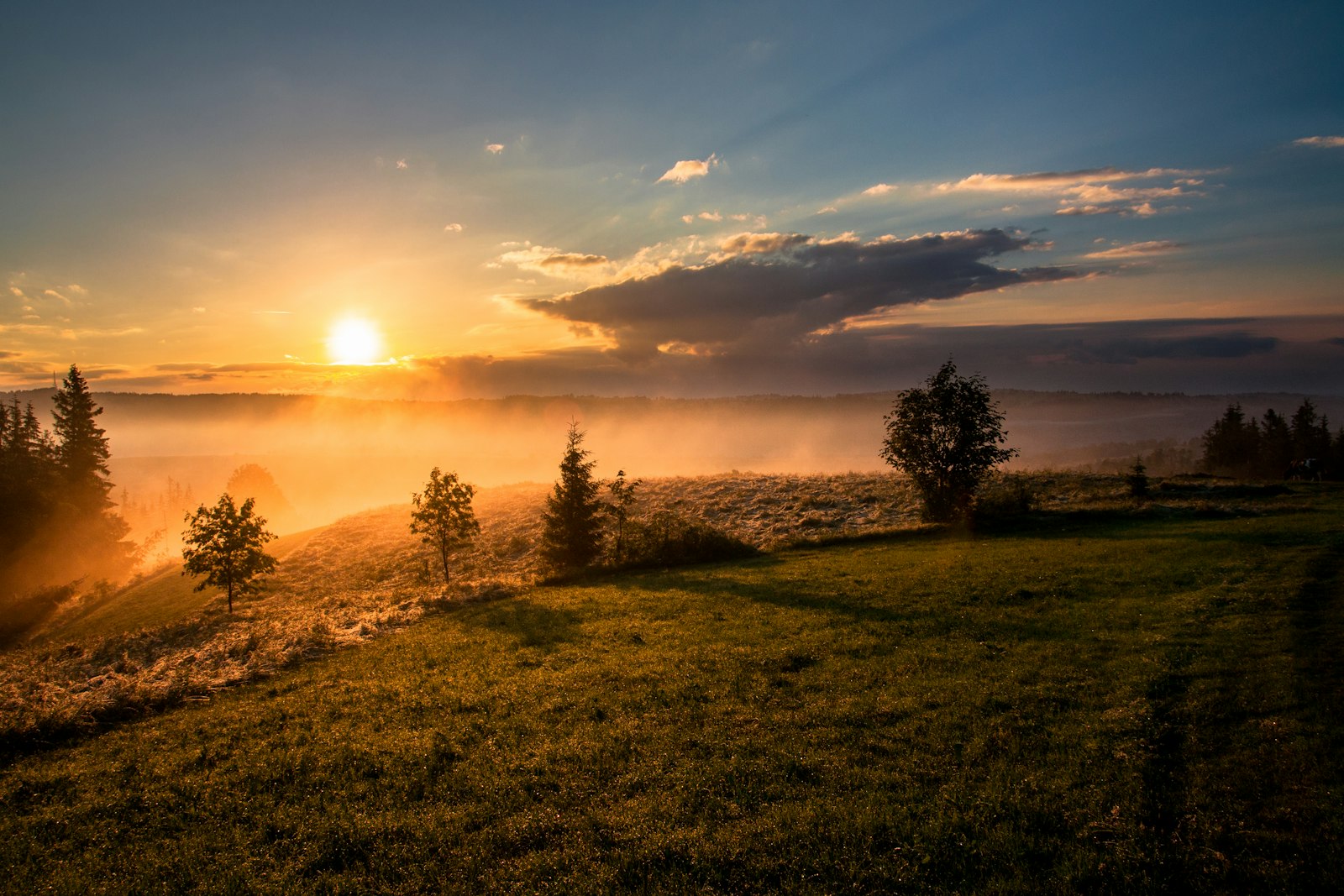 Golden sunset over open meadow — Living Passages